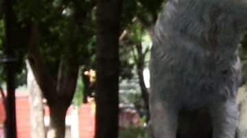 El intérprete ha recibido 21 premios Billboard.