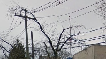 El menor asiste a la Escuela Pública 209 en Whitestone, Queens.