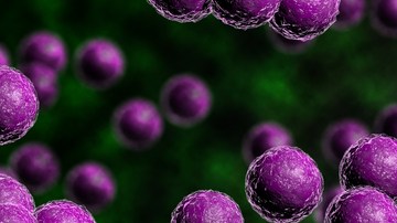 superbacterias