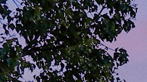 JLo compró la casa en 2010 con Marc Anthony.