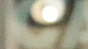 Lucía Villalón vuelve a la normalidad tras la traumática ruptura.