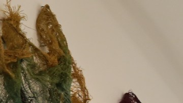 El contralor, Scott Stringer, estima que organizaciones culturales que atienden a la infancia van a sufrir recortes con las propuestas de Donald Trump./Cortesía