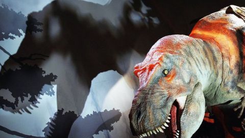 t rex