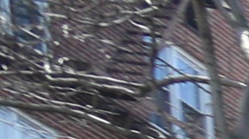 Nayra Berrios y su amiga, Gabriela Andrade fueron atacadas en el Mc Donald's por ser transexuales en Queens.