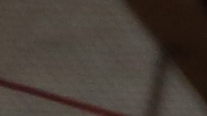 Fiscal General Eric Schneiderman con la presidenta del Concejo Melissa Mark-Viverito el anuncio de una guia para ayudar a los inquilinos de acoso por parte de los caseros sin importar el estatus migratorio.