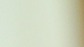 Fiscal interino de Brooklyn Eric Gonzalez habla sobre la educacion de los abogados defensores de asuntos de inmigracion.