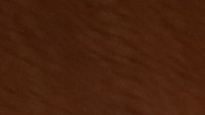 Fiscal interino de Brooklyn Eric Gonzalez habla sobre la educacion de los abogados defensores de asuntos de inmigracion.