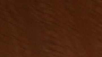 Fiscal interino de Brooklyn Eric Gonzalez habla sobre la educacion de los abogados defensores de asuntos de inmigracion.