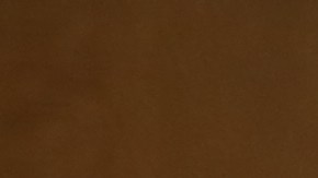 Fiscal interino de Brooklyn Eric Gonzalez habla sobre la educacion de los abogados defensores de asuntos de inmigracion.