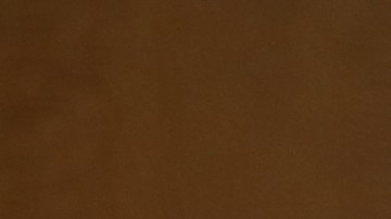 Fiscal interino de Brooklyn Eric Gonzalez habla sobre la educacion de los abogados defensores de asuntos de inmigracion.