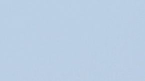 El pasajero atacado por el escorpión era canadiense y viajaba en clase turista.