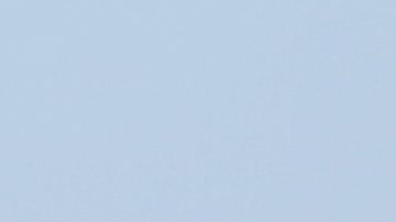 El pasajero atacado por el escorpión era canadiense y viajaba en clase turista.