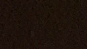 Simpatizantes de la causa de los trabajadores despedidos de Tom Cat Bakery se encadenaron a los carros repartidores de pan en la madrugada