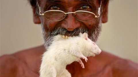 Chinnagodangy Palanisamy