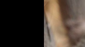 arana baja california