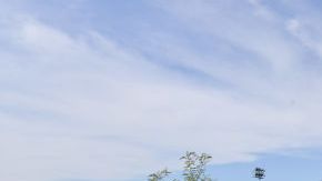 El parque tiene espacios ya terminados, pero el proyecto completo no podía continuar.