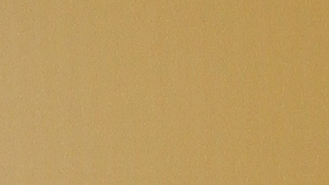 Dominicci ahora es conocida como "La trotamundos".