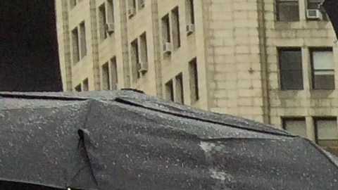 Manifestantes en Foley Square por el "Denim Day".