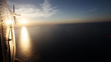 El avistamiento sucedió poco antes de la puesta del sol en el Golfo de México a unas 80 millas de Nueva Orleans.
