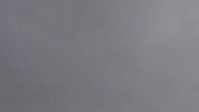 Los trabajadores indocumentados ya comenzaron a faltar en las granjas.