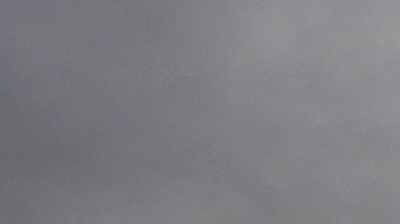 Los trabajadores indocumentados ya comenzaron a faltar en las granjas.