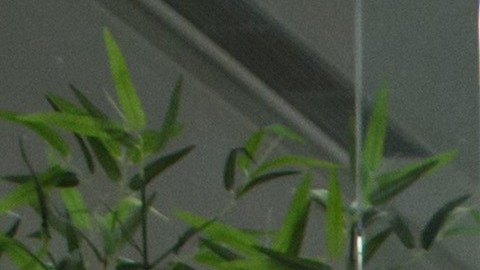 El ciudadano de EEUU fue detenido en el aeropuerto internacional de Pyongyang.