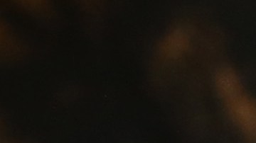 El gobierno de EEUU busca mejorar la detención y deportación de inmigrantes indocumentados.