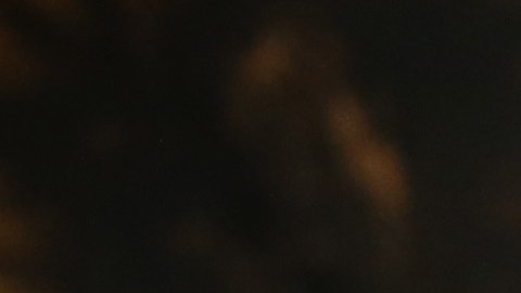 El gobierno de EEUU busca mejorar la detención y deportación de inmigrantes indocumentados.