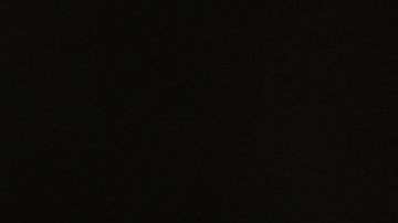 En 2016, según USCIS, el 92 por ciento de las deportaciones fueron de personas que cometieron algún delito, menor o mayor.