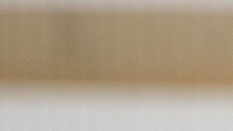 El fiscal general Jeff Sessions; el gobernador de Alabama Robert Bentley, y el presidente Trump durante su gira de agradecimiento.