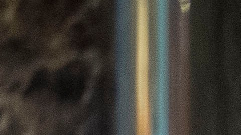 El presidente operó durante la transición de gobierno en la Torre Trump.