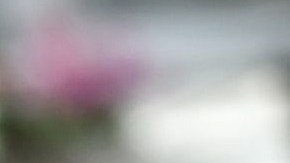 La historia de amor juvenil terminó en tragedia.