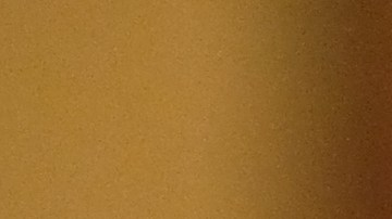 Los oficiales decidirán cuándo comenzar y terminar de grabar sus interacciones con las personas.