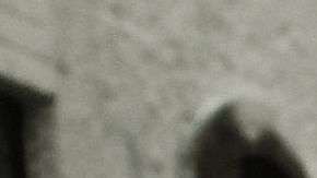 Los demócratas cierran filas en contra de medidas que perjudiquen a las ciudades “santuario”.