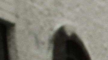 Los demócratas cierran filas en contra de medidas que perjudiquen a las ciudades “santuario”.