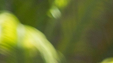 La llamada se realiza a pocos días que ambos mandatarios estuvieron juntos en Florida.