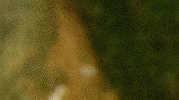 A sus casi 70 años, el padre de Harry y William se maneja en las redes sociales.