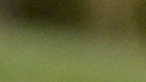 El presidente Donald Trump condicionó a China sobre un acuerdo comercial.