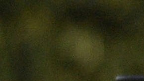 El presidente Donald Trump.