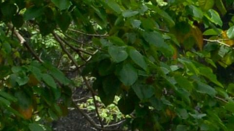 Miles se manifestaron ayer en Caracas.