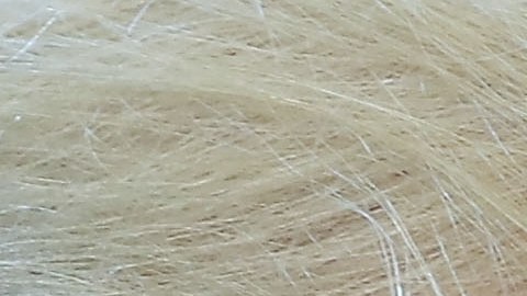 El presidente Trump volvió a tuitear sobre el muro fronterizo.