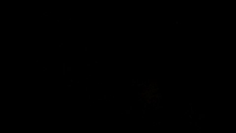 La Policía implementó un fuerte operativo en la zona.