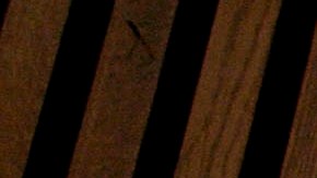 Esta es la evidencia más clara hasta el momento de que el FBI sospechaba que la campaña de Trump estaba en contacto con agentes rusos.