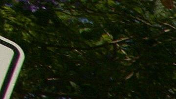 Los datos incluyen a trabajadores documentados e indocumentados.