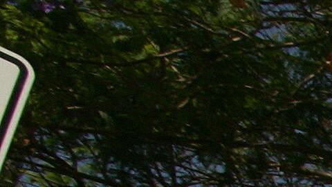 Los datos incluyen a trabajadores documentados e indocumentados.