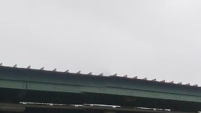 El niño fue encontrado caminando por los rieles de la estación Halsey, en Brooklyn.