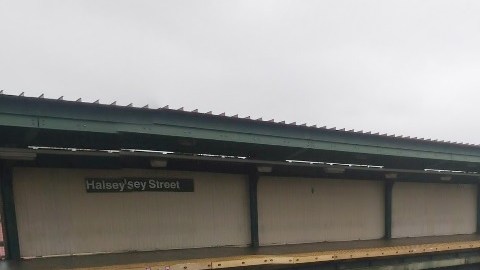 El niño fue encontrado caminando por los rieles de la estación Halsey, en Brooklyn.