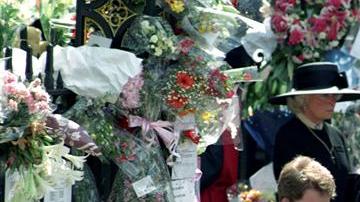 principes harry guillermo