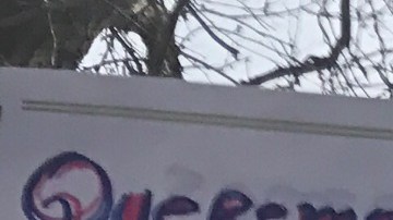 Fotos de manifestantes en Long Island por la visita de Jeff Sessions.