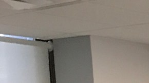 La abogada Anilu Chadwick estuvo el martes respondiendo llamadas en la línea gratuita de Inmigración